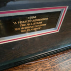 Autographed Framed Vintage Hockey Card Display – "1964 A Year to Remember" (Richard, Hull, Bucyk, Harris)