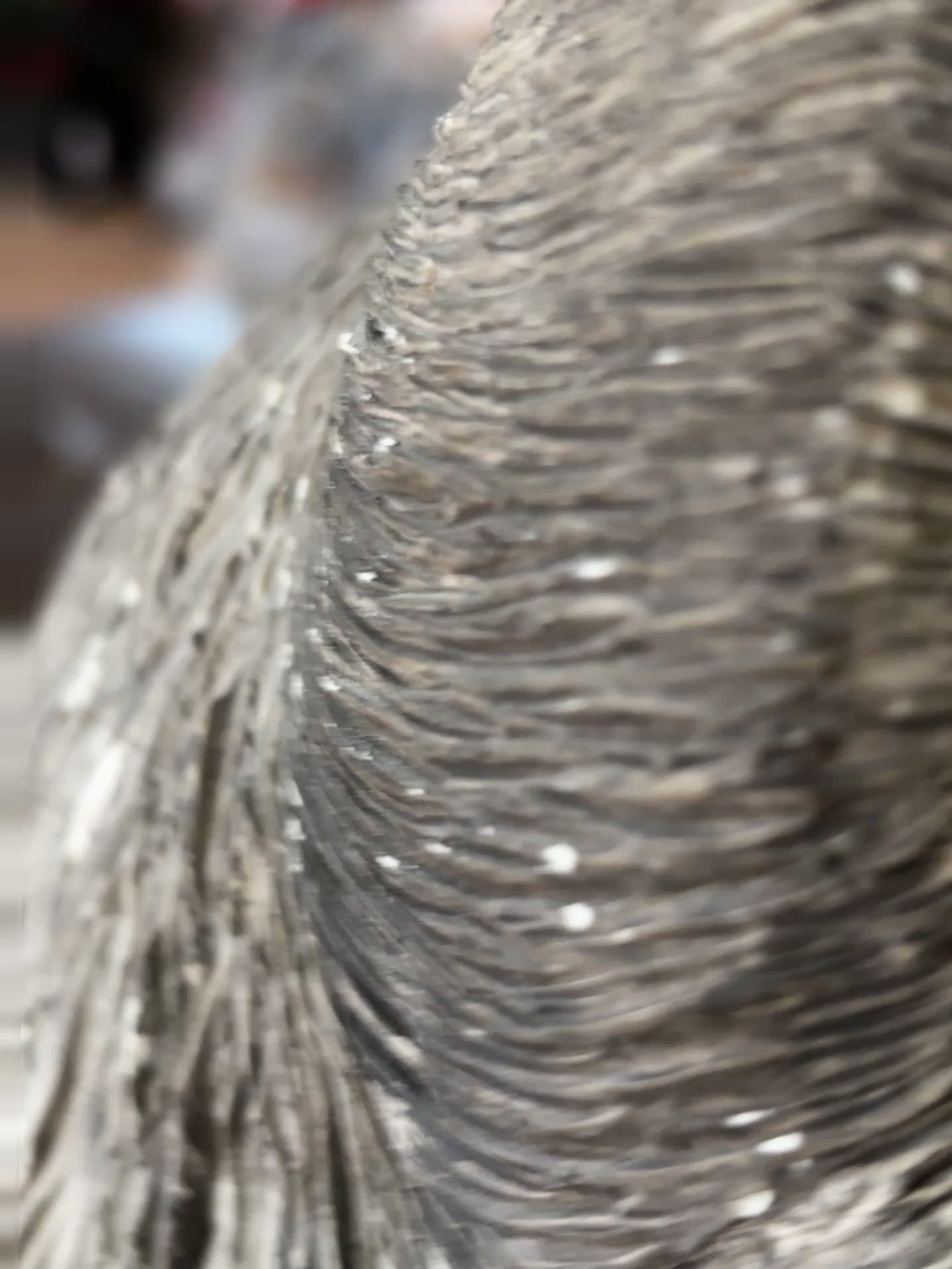 Sandicast Wolf Head Sculpture by Sandy Bruce